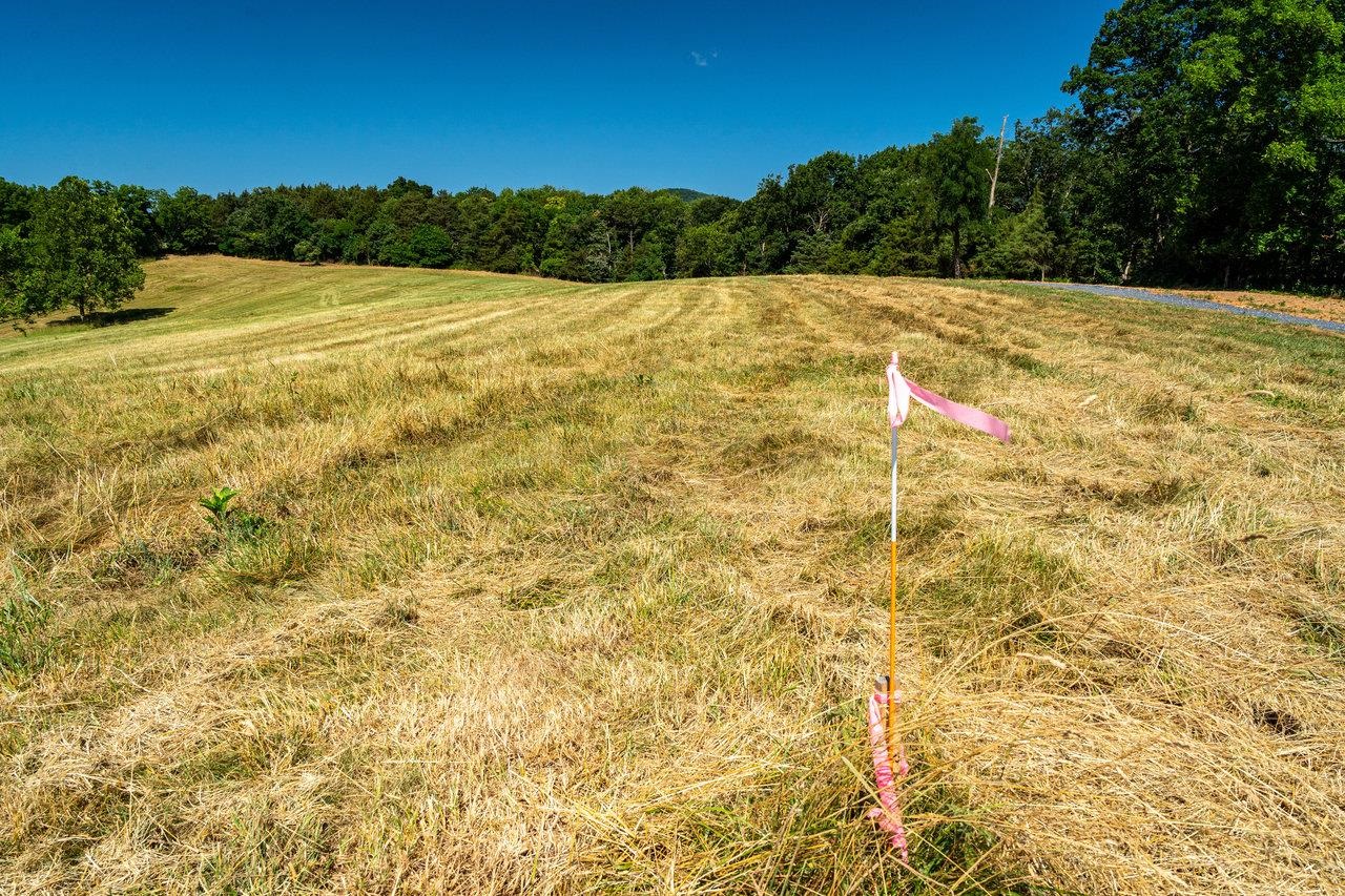 Lot 6 SHULER LN, STANLEY, Virginia 22851, ,Land,Lot 6 Promise View Farm,Lot 6 SHULER LN,654602 MLS # 654602