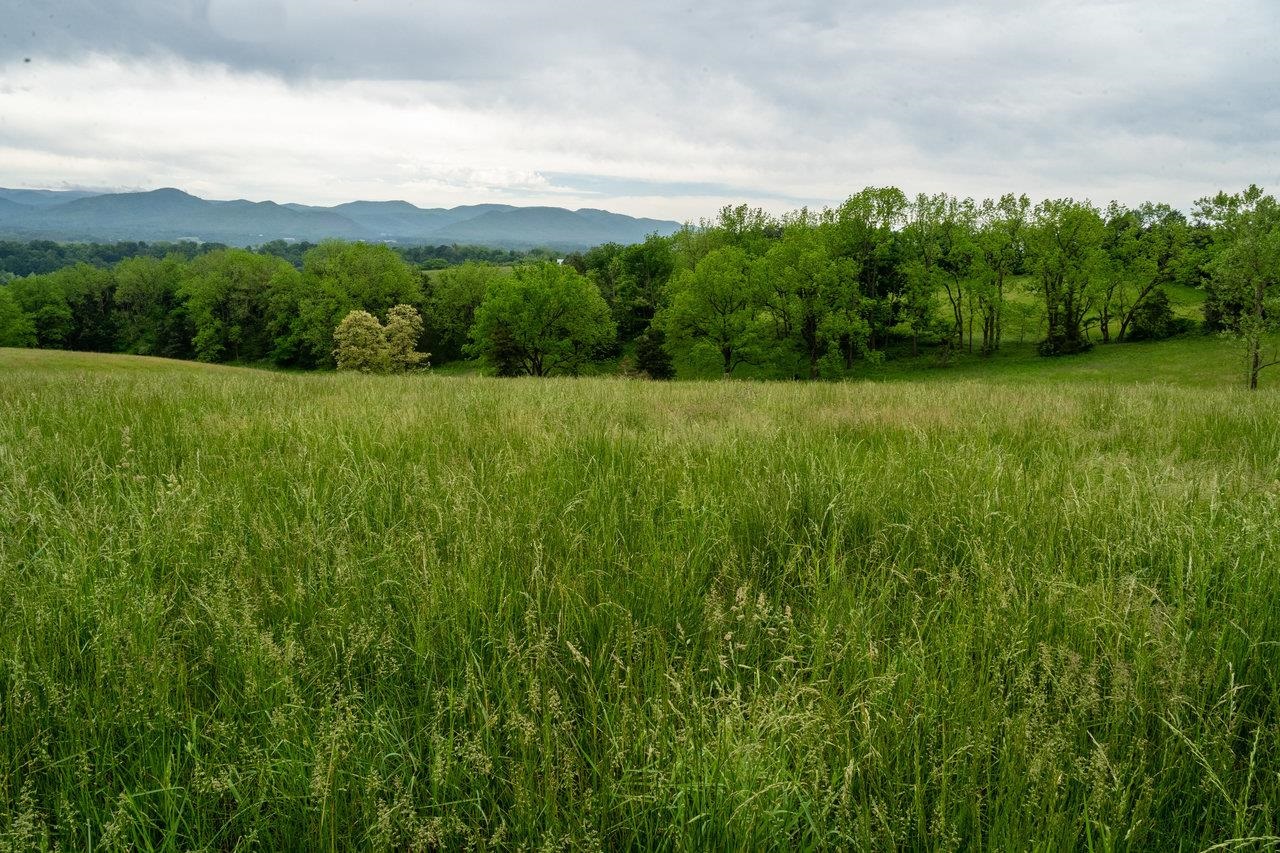 Lot 6 SHULER LN, STANLEY, Virginia 22851, ,Land,Lot 6 Promise View Farm,Lot 6 SHULER LN,654602 MLS # 654602