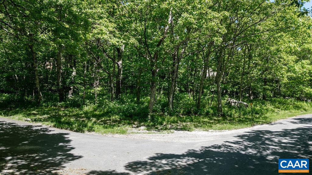 22 SUMMIT CIR, ROSELAND, Virginia 22967, ,Land,For sale,22 SUMMIT CIR,654604 MLS # 654604