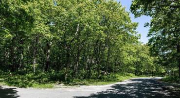 22 SUMMIT CIR, ROSELAND, Virginia 22967, ,Land,For sale,22 SUMMIT CIR,654604 MLS # 654604