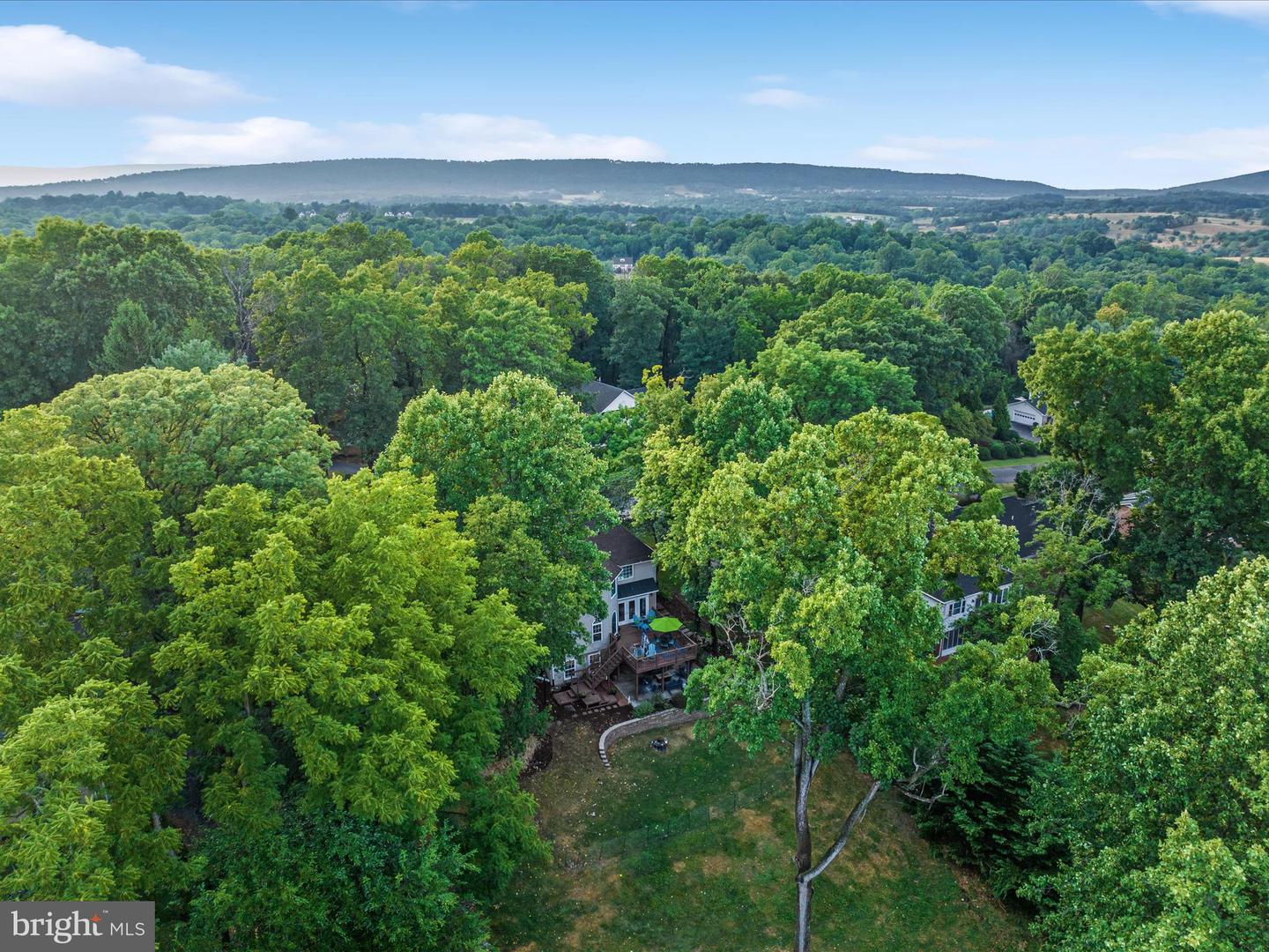 113 FOREST RIDGE RD, WINCHESTER, Virginia 22602, 4 Bedrooms Bedrooms, ,4 BathroomsBathrooms,Residential,For sale,113 FOREST RIDGE RD,VAFV2019680 MLS # VAFV2019680