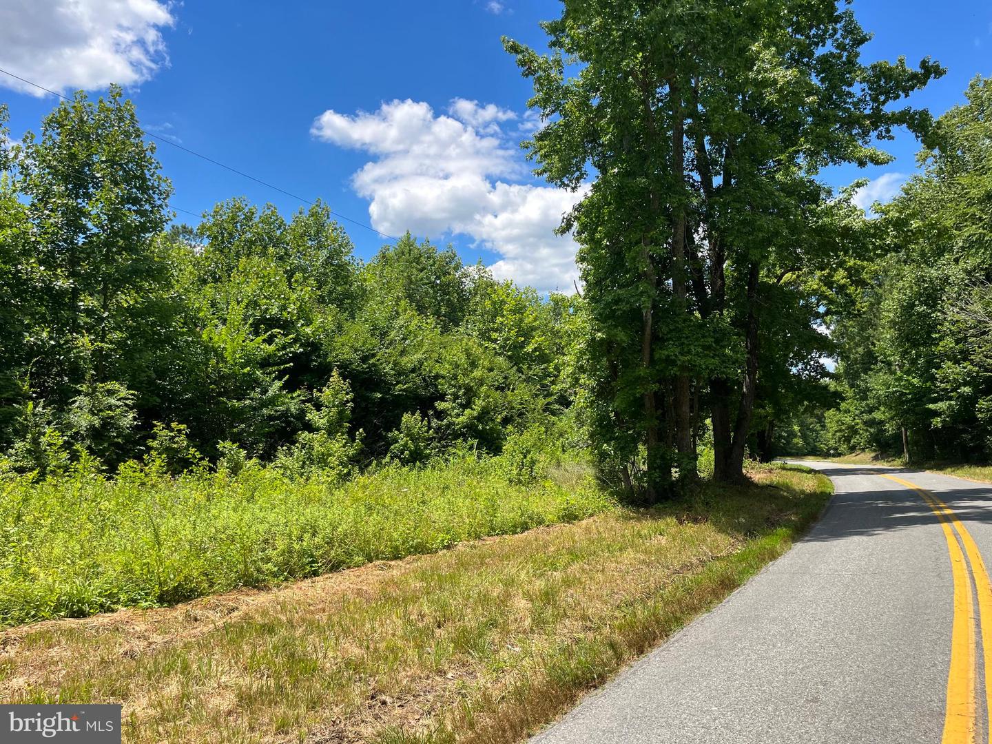 0 REAVIS GIN RD, LAWRENCEVILLE, Virginia 23868, ,Land,For sale,0 REAVIS GIN RD,VABW2000050 MLS # VABW2000050