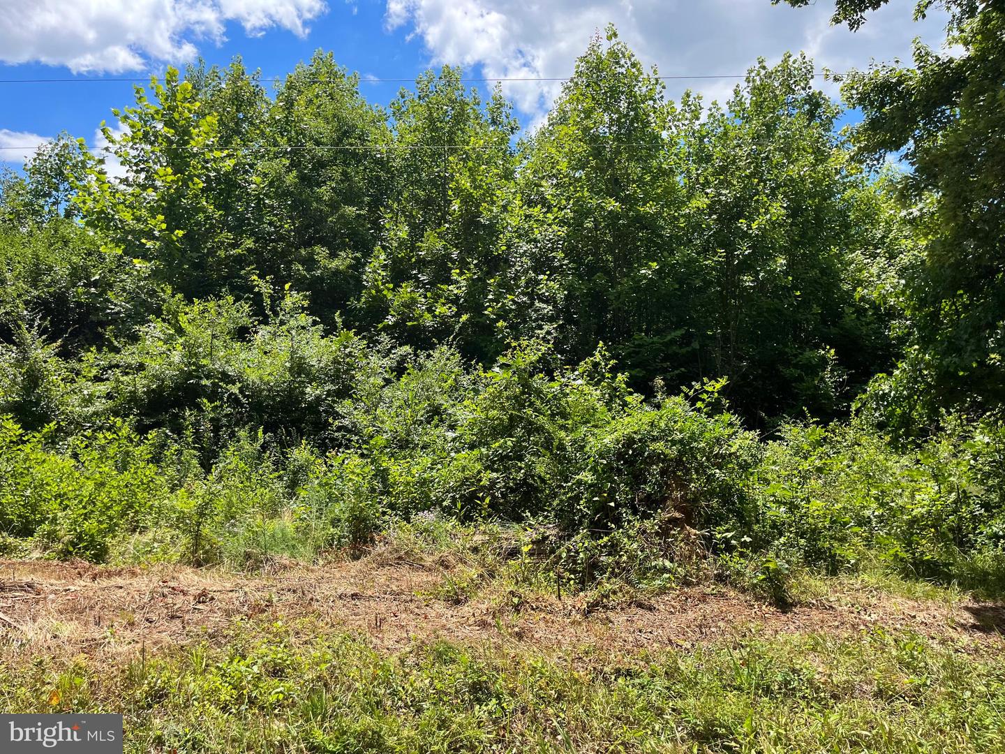 0 REAVIS GIN RD, LAWRENCEVILLE, Virginia 23868, ,Land,For sale,0 REAVIS GIN RD,VABW2000050 MLS # VABW2000050