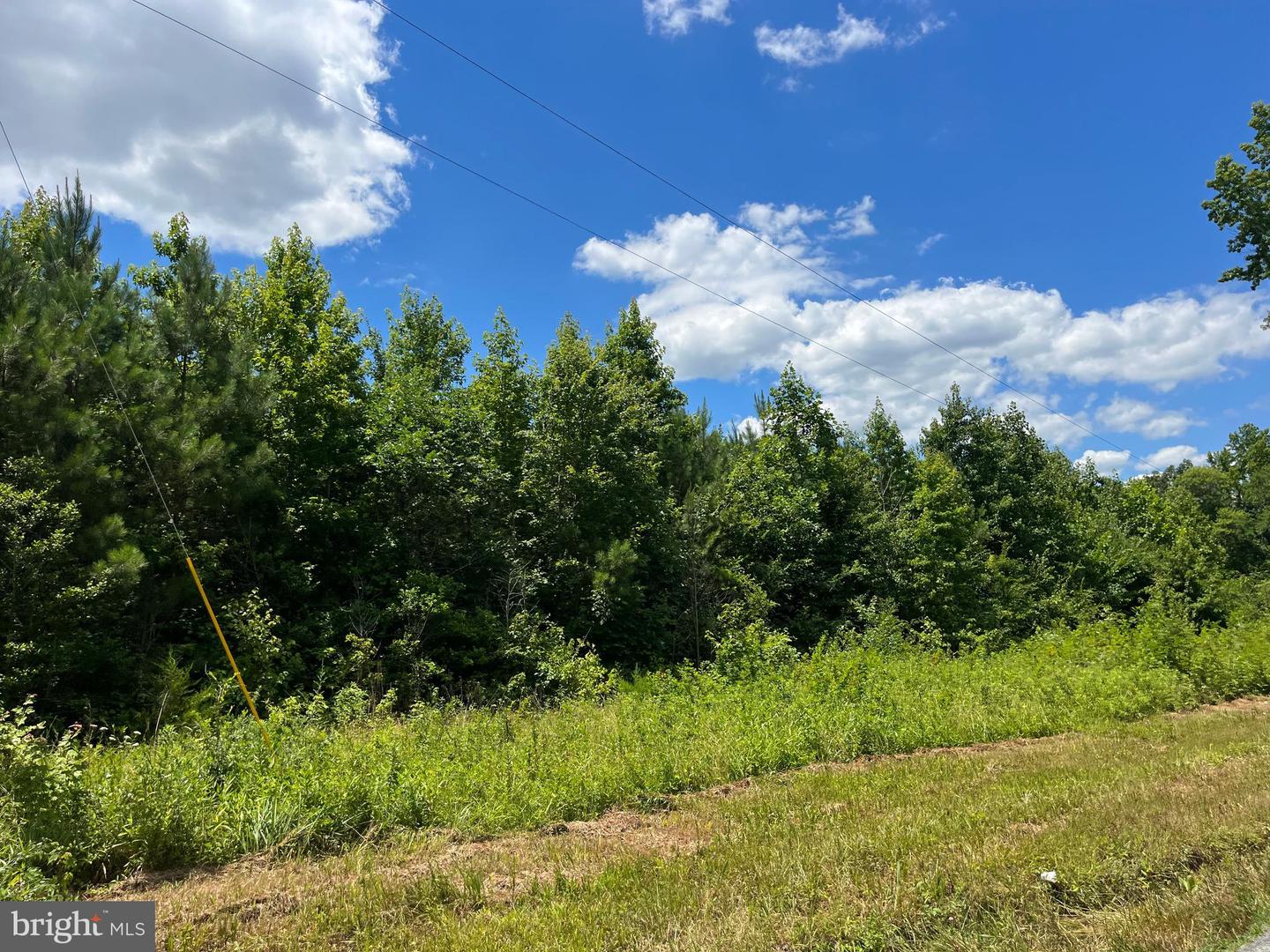 0 REAVIS GIN RD, LAWRENCEVILLE, Virginia 23868, ,Land,For sale,0 REAVIS GIN RD,VABW2000050 MLS # VABW2000050