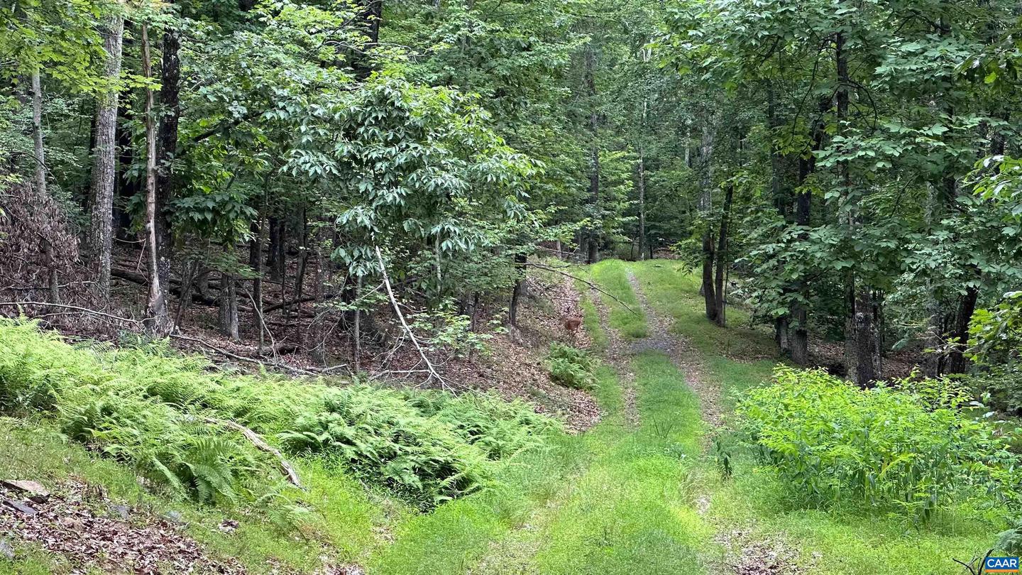 TROXEL GAP RD, MIDDLEBROOK, Virginia 24459, ,Farm,For sale,TROXEL GAP RD,654675 MLS # 654675