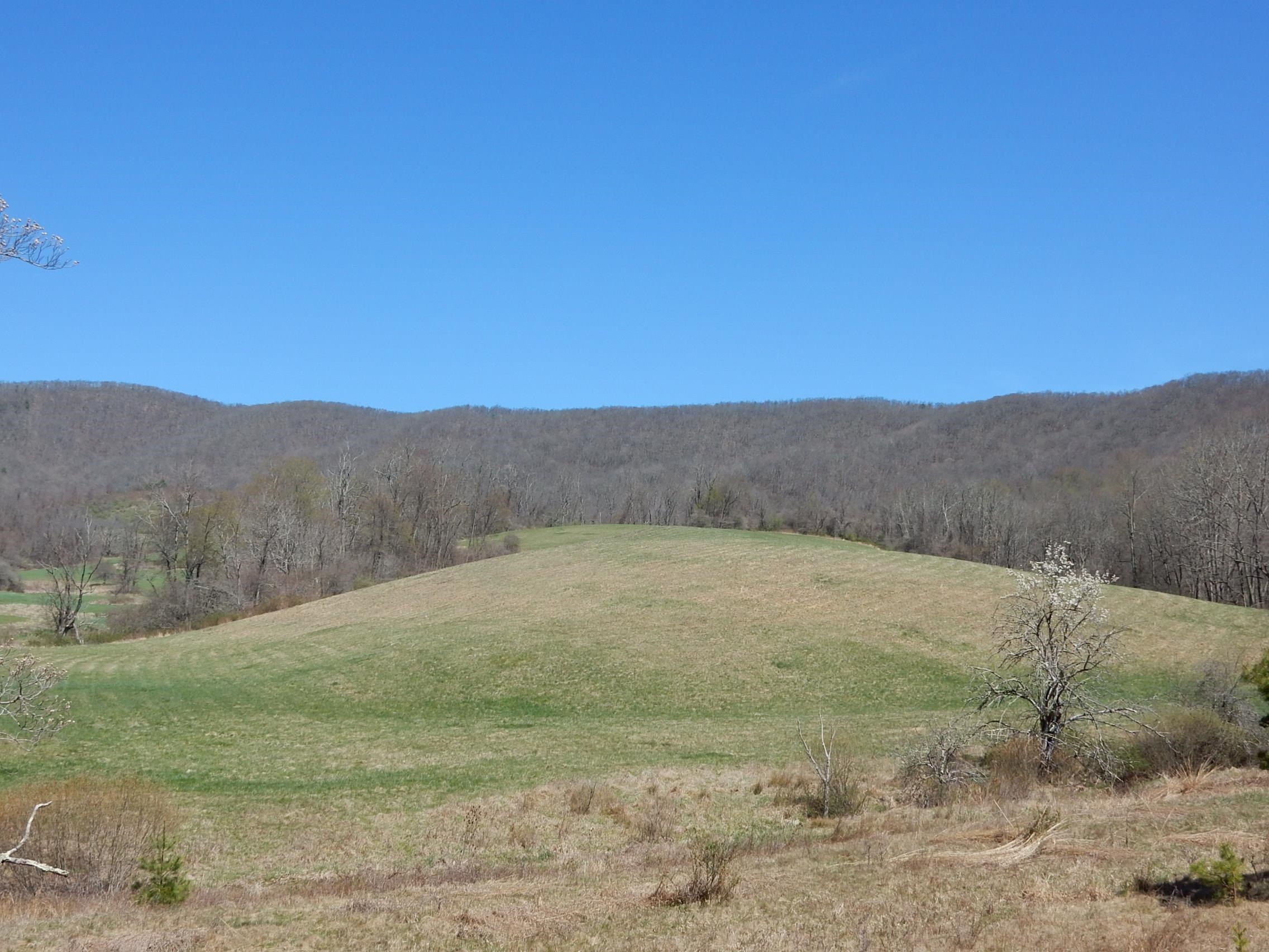 tbd SAM SNEAD HWY, WARM SPRINGS, Virginia 24484, ,Land,Chimney Run Farm Parcel,tbd SAM SNEAD HWY,640483 MLS # 640483