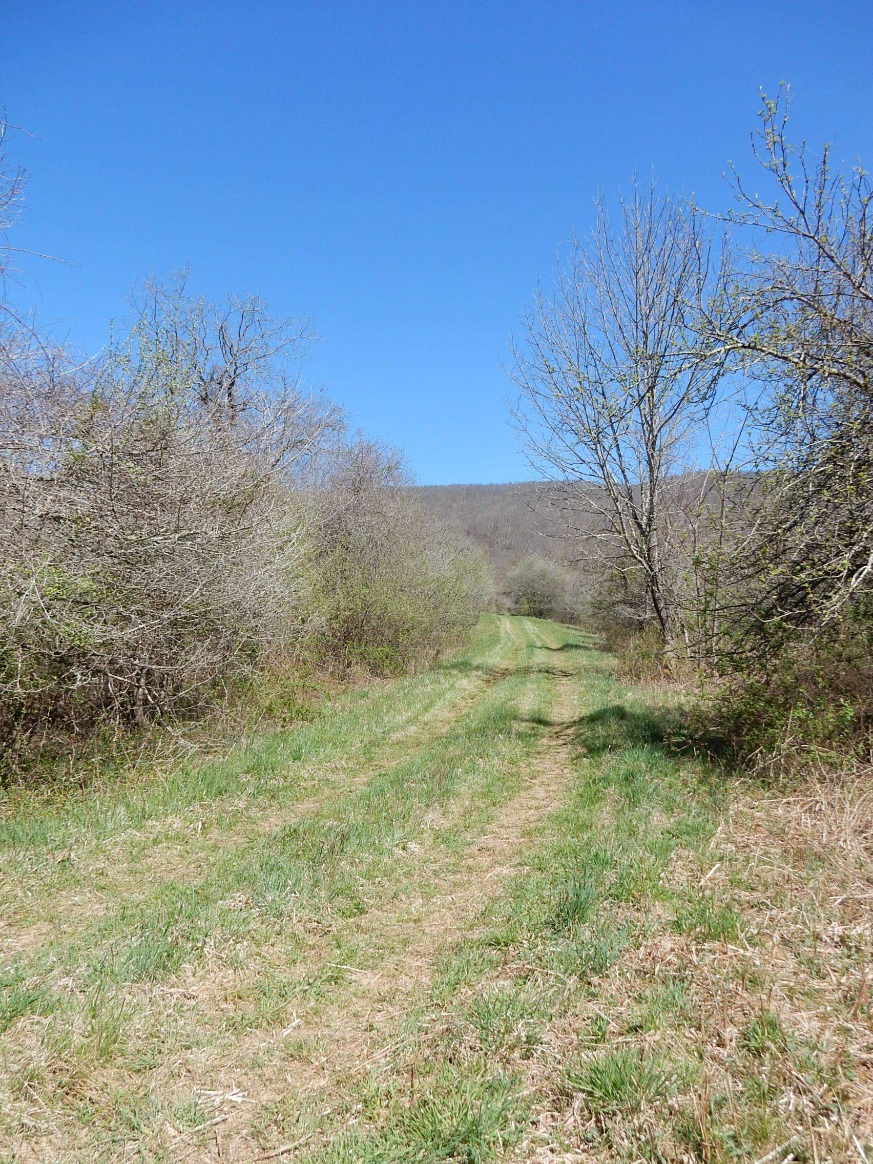 tbd SAM SNEAD HWY, WARM SPRINGS, Virginia 24484, ,Land,Chimney Run Farm Parcel,tbd SAM SNEAD HWY,640483 MLS # 640483