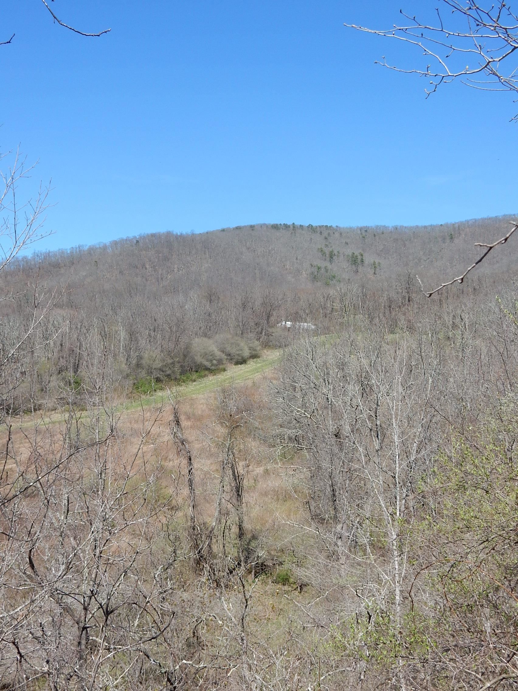 tbd SAM SNEAD HWY, WARM SPRINGS, Virginia 24484, ,Land,Chimney Run Farm Parcel,tbd SAM SNEAD HWY,640483 MLS # 640483