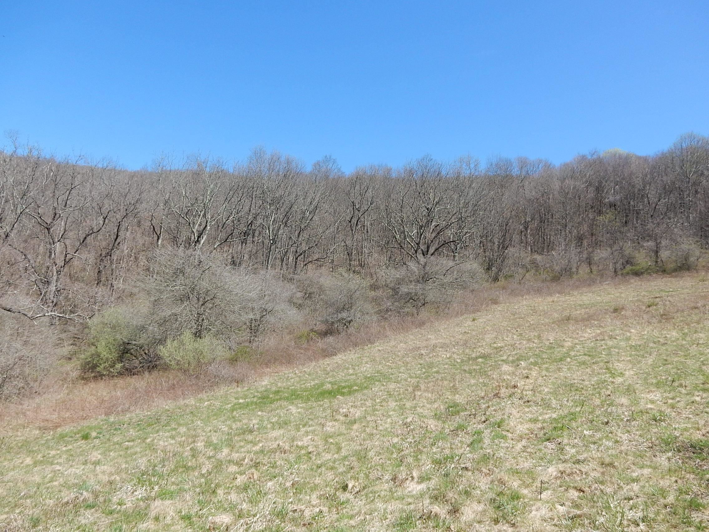 tbd SAM SNEAD HWY, WARM SPRINGS, Virginia 24484, ,Land,Chimney Run Farm Parcel,tbd SAM SNEAD HWY,640483 MLS # 640483