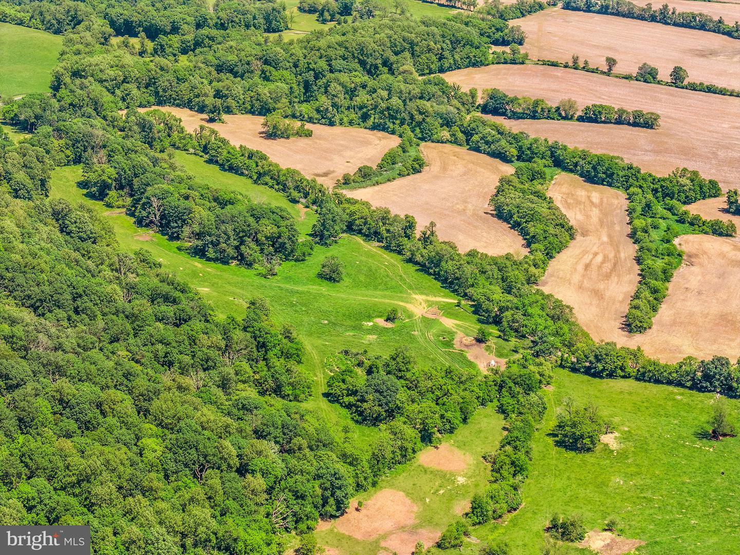 86 ACRES - RAMEY ROAD, MARSHALL, Virginia 20115, ,Farm,For sale,86 ACRES - RAMEY ROAD,VAFQ2013118 MLS # VAFQ2013118