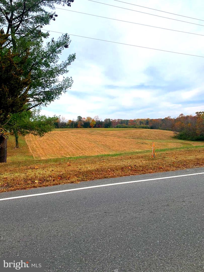 0 S MAIN ST S, BOWLING GREEN, Virginia 22427, ,Land,For sale,0 S MAIN ST S,VACV2004668 MLS # VACV2004668