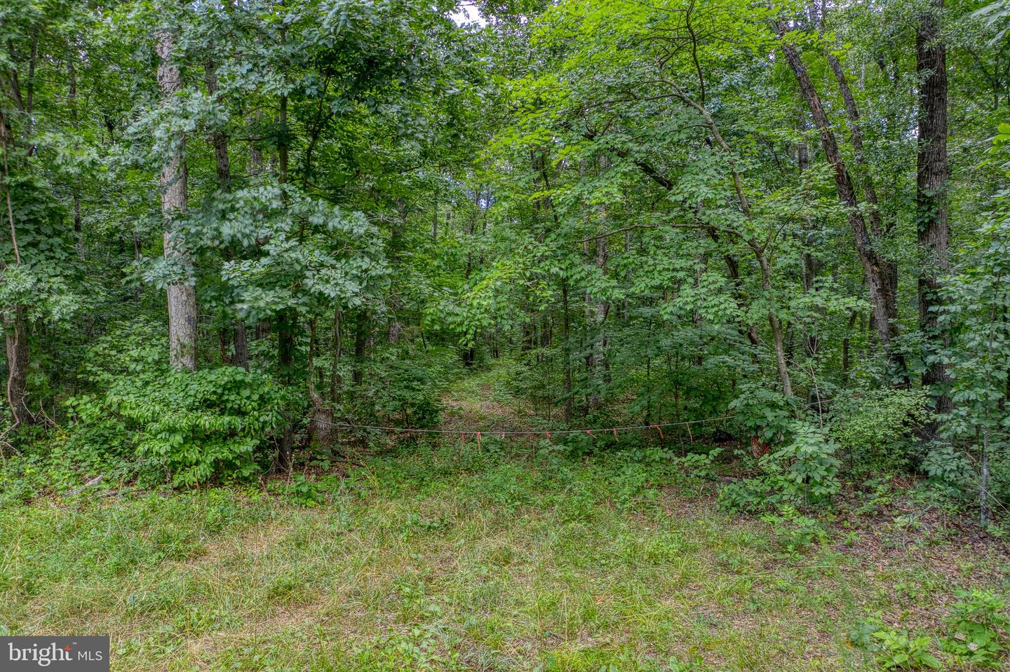 ZACHARY TAYLOR HWY, CULPEPER, Virginia 22701, ,Land,For sale,ZACHARY TAYLOR HWY,VACU2008338 MLS # VACU2008338