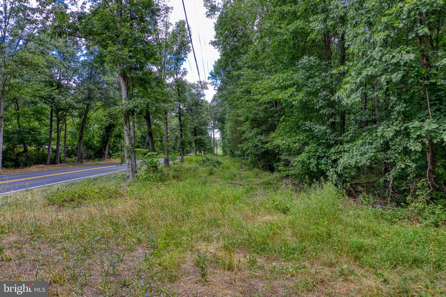 ZACHARY TAYLOR HWY, CULPEPER, Virginia 22701, ,Land,For sale,ZACHARY TAYLOR HWY,VACU2008338 MLS # VACU2008338