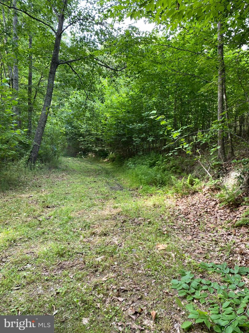 0 FOXFIELD RUN, REVA, Virginia 22735, ,Land,For sale,0 FOXFIELD RUN,VACU2008366 MLS # VACU2008366