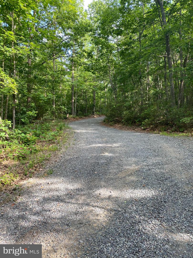 0 FOXFIELD RUN, REVA, Virginia 22735, ,Land,For sale,0 FOXFIELD RUN,VACU2008366 MLS # VACU2008366