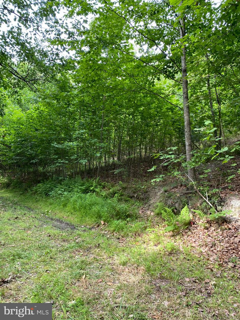 0 FOXFIELD RUN, REVA, Virginia 22735, ,Land,For sale,0 FOXFIELD RUN,VACU2008366 MLS # VACU2008366