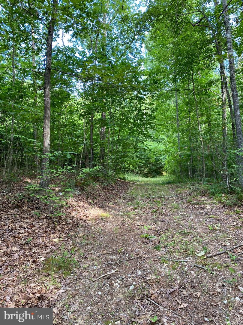 0 FOXFIELD RUN, REVA, Virginia 22735, ,Land,For sale,0 FOXFIELD RUN,VACU2008366 MLS # VACU2008366