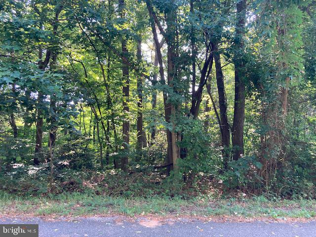 BAY POINTE DR, MONTROSS, Virginia 22520, ,Land,For sale,BAY POINTE DR,VAWE2006994 MLS # VAWE2006994