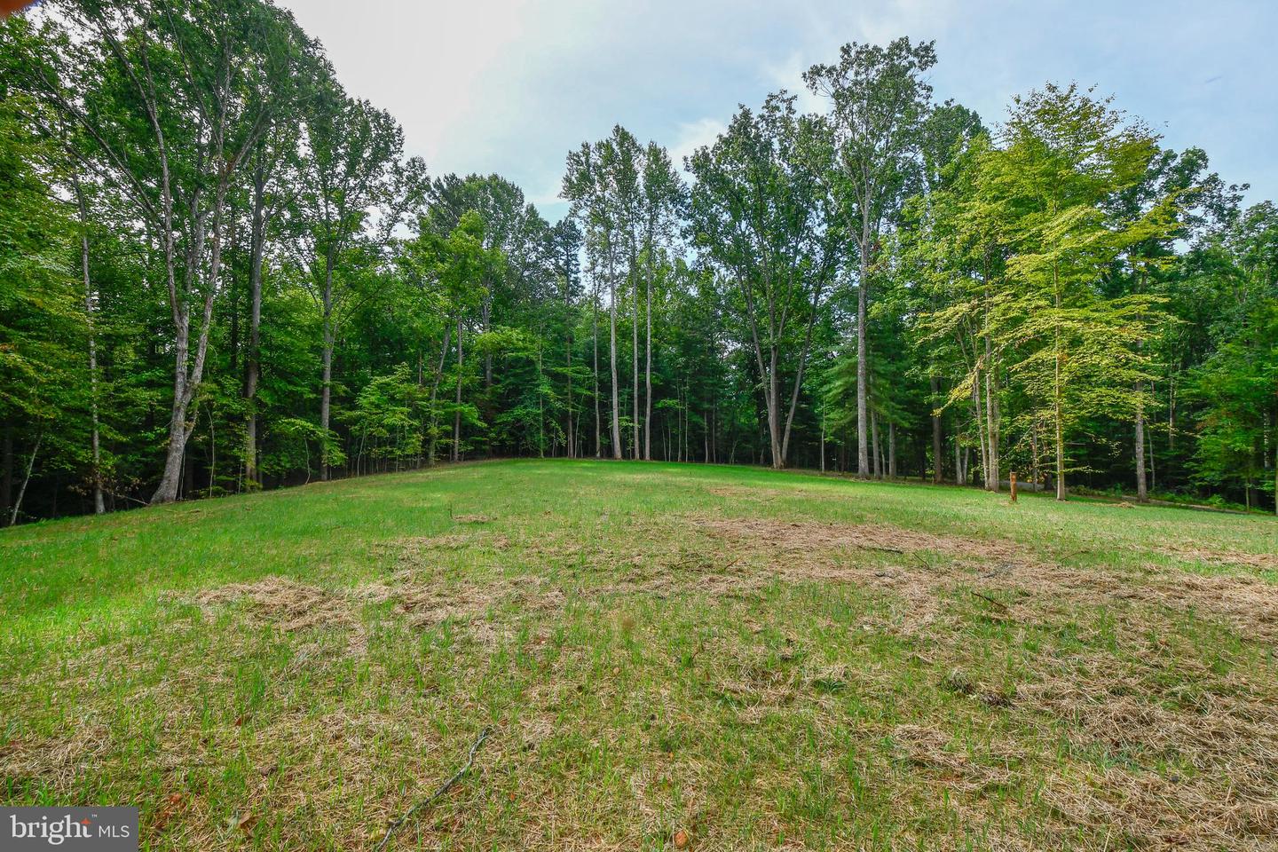 47 HEMLOCK CREEK WAY, EARLYSVILLE, Virginia 22936, ,Land,For sale,47 HEMLOCK CREEK WAY,VAAB2000688 MLS # VAAB2000688