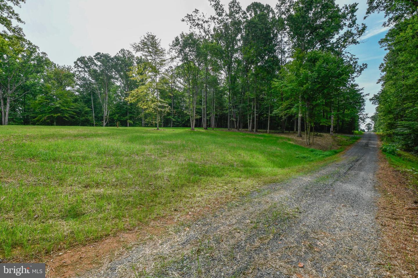 47 HEMLOCK CREEK WAY, EARLYSVILLE, Virginia 22936, ,Land,For sale,47 HEMLOCK CREEK WAY,VAAB2000688 MLS # VAAB2000688