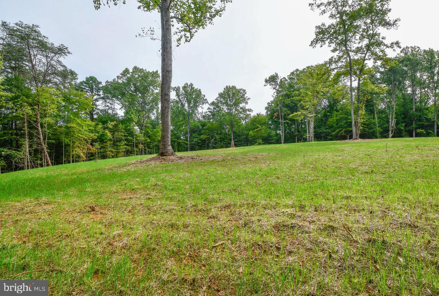 47 HEMLOCK CREEK WAY, EARLYSVILLE, Virginia 22936, ,Land,For sale,47 HEMLOCK CREEK WAY,VAAB2000688 MLS # VAAB2000688