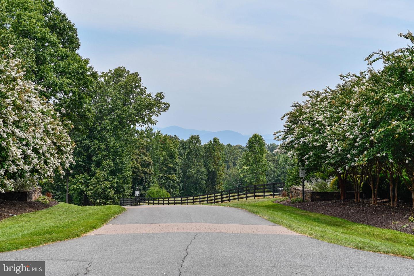 47 HEMLOCK CREEK WAY, EARLYSVILLE, Virginia 22936, ,Land,For sale,47 HEMLOCK CREEK WAY,VAAB2000688 MLS # VAAB2000688