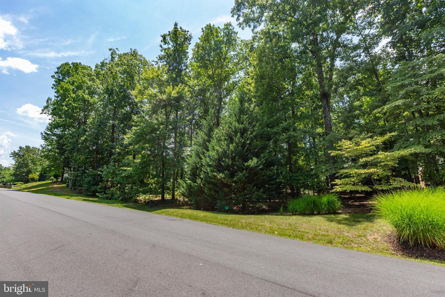 10510 TURNING LEAF LN, SPOTSYLVANIA, Virginia 22551, ,Land,For sale,10510 TURNING LEAF LN,VASP2026248 MLS # VASP2026248