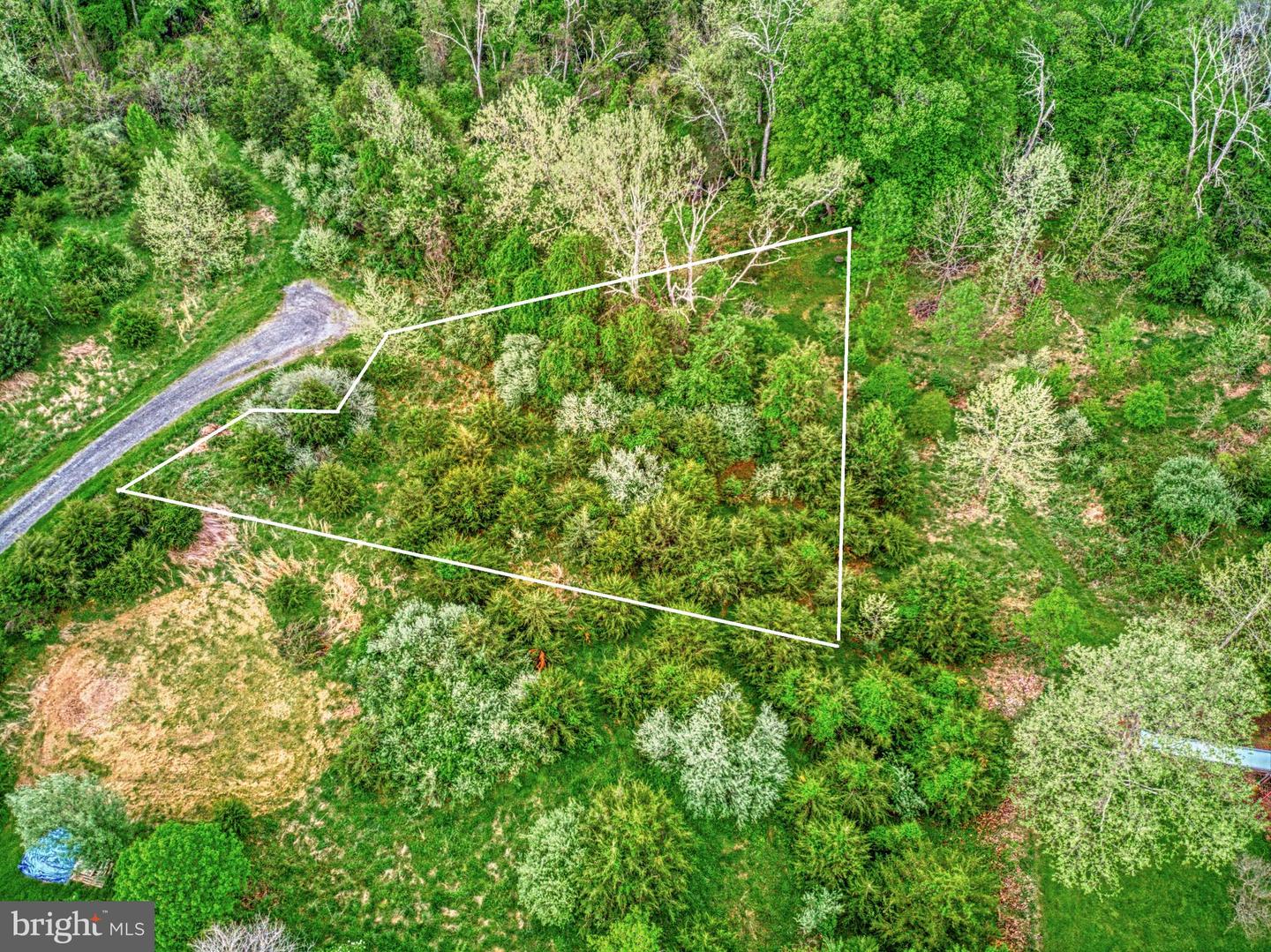 41073 HICKORY SHADE LN, LOVETTSVILLE, Virginia 20180, ,Land,For sale,41073 HICKORY SHADE LN,VALO2058006 MLS # VALO2058006