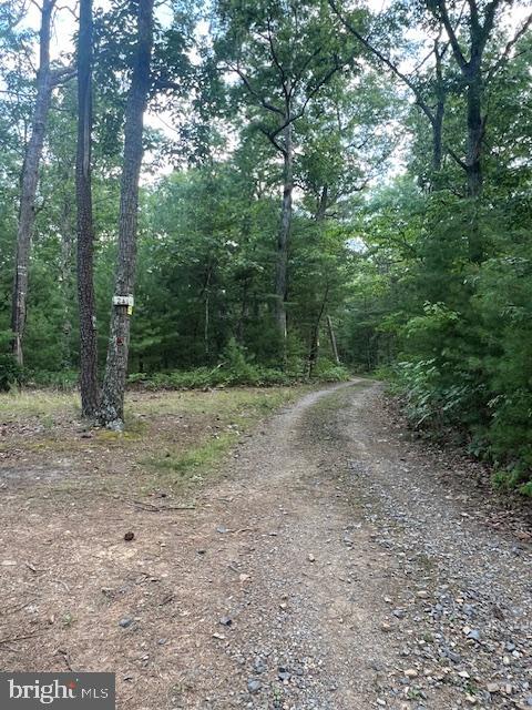 CAST IRON COURT #LOT 10, WINCHESTER, Virginia 22602, ,Land,For sale,CAST IRON COURT #LOT 10,VAFV2020178 MLS # VAFV2020178