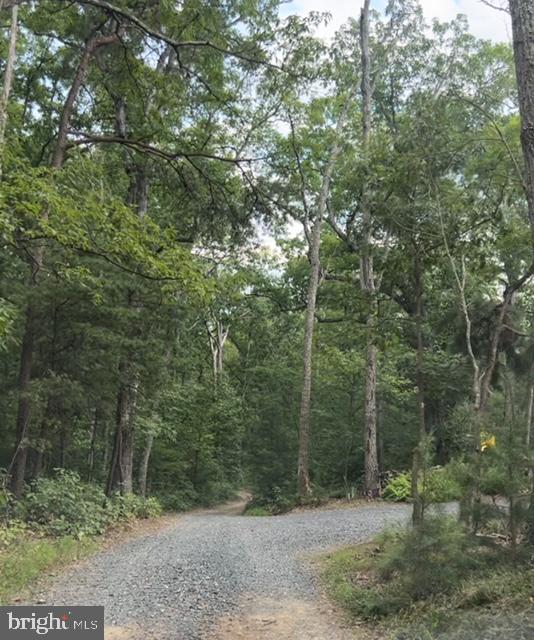 CAST IRON COURT #LOT 10, WINCHESTER, Virginia 22602, ,Land,For sale,CAST IRON COURT #LOT 10,VAFV2020178 MLS # VAFV2020178