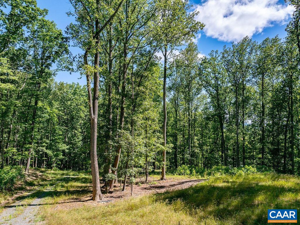 LOT H-8 HIGHTOP DR, NORTH GARDEN, Virginia 22959, ,Land,For sale,LOT H-8 HIGHTOP DR,654835 MLS # 654835