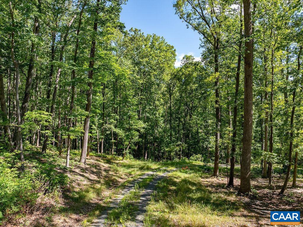 LOT H-8 HIGHTOP DR, NORTH GARDEN, Virginia 22959, ,Land,For sale,LOT H-8 HIGHTOP DR,654835 MLS # 654835