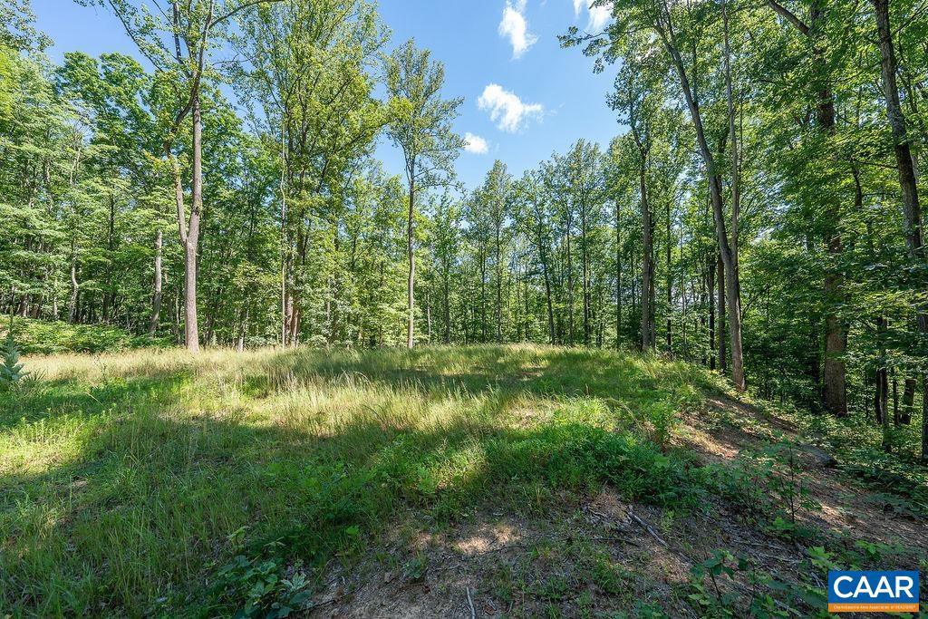 LOT H-8 HIGHTOP DR, NORTH GARDEN, Virginia 22959, ,Land,For sale,LOT H-8 HIGHTOP DR,654835 MLS # 654835