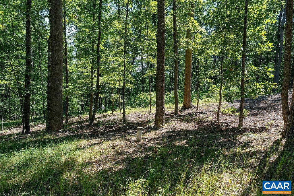 LOT H-8 HIGHTOP DR, NORTH GARDEN, Virginia 22959, ,Land,For sale,LOT H-8 HIGHTOP DR,654835 MLS # 654835