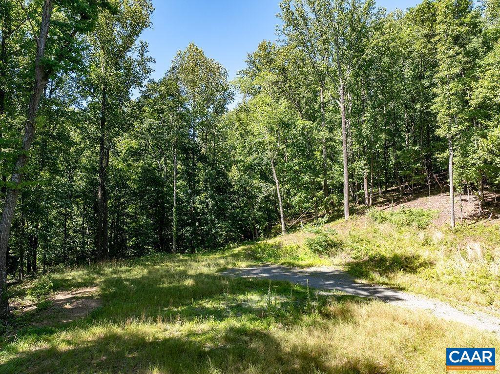 LOT H-8 HIGHTOP DR, NORTH GARDEN, Virginia 22959, ,Land,For sale,LOT H-8 HIGHTOP DR,654835 MLS # 654835