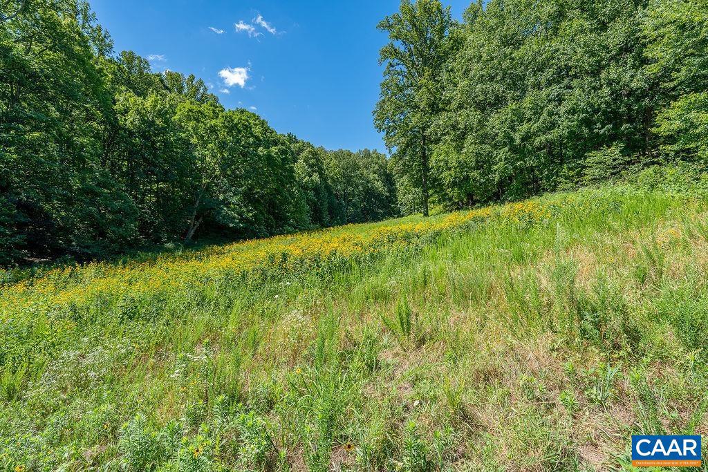 LOT H-8 HIGHTOP DR, NORTH GARDEN, Virginia 22959, ,Land,For sale,LOT H-8 HIGHTOP DR,654835 MLS # 654835