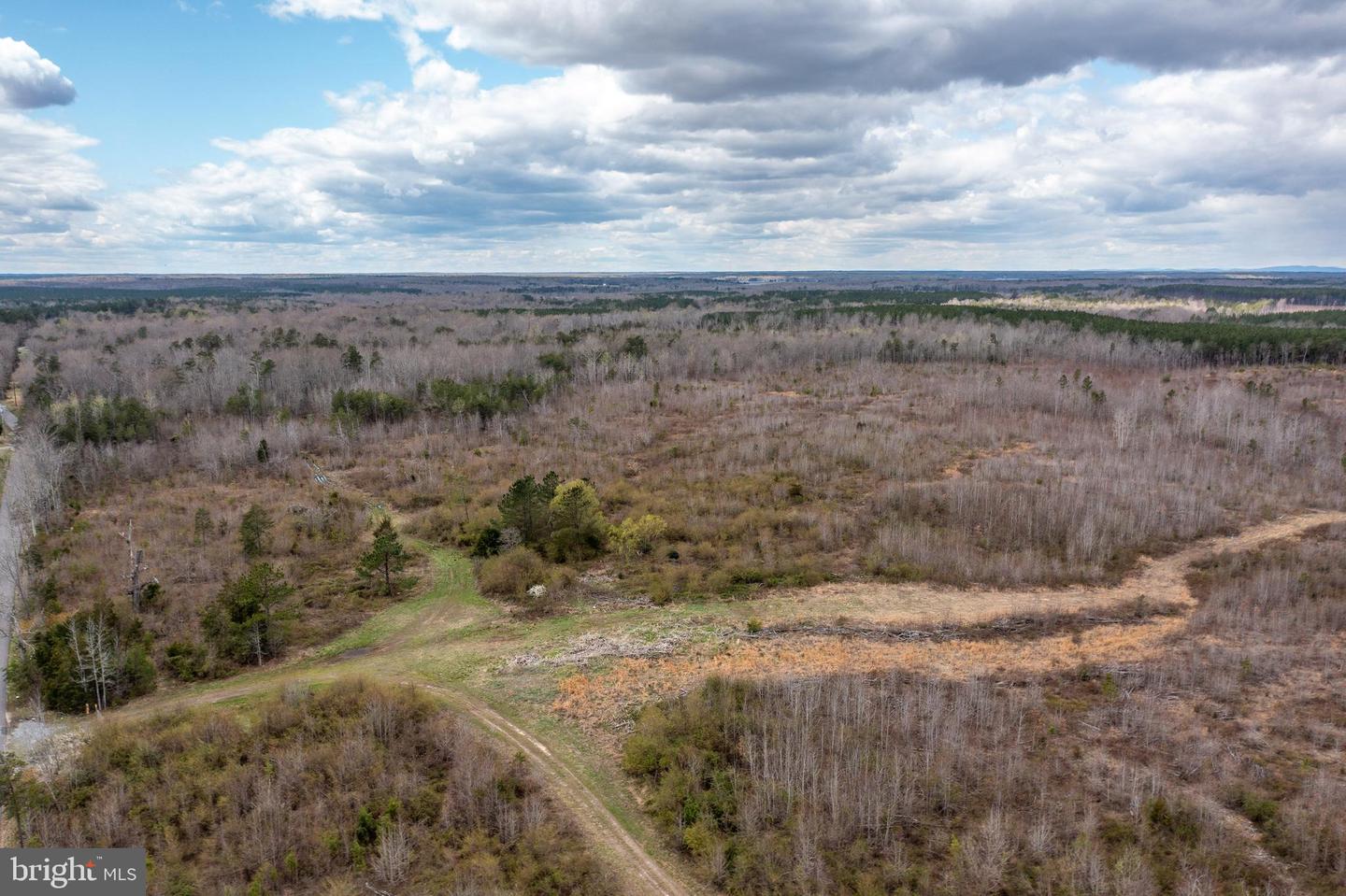 MT OLIVE RD, BEAVERDAM, Virginia 23015, ,Farm,For sale,MT OLIVE RD,VASP2008750 MLS # VASP2008750