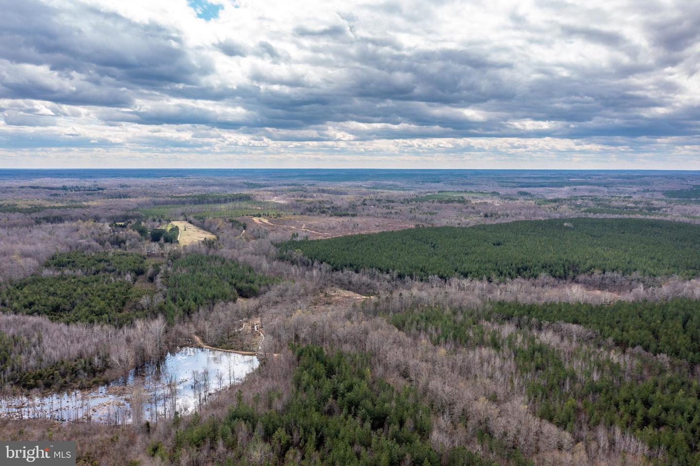 MT OLIVE RD, BEAVERDAM, Virginia 23015, ,Farm,For sale,MT OLIVE RD,VASP2008750 MLS # VASP2008750