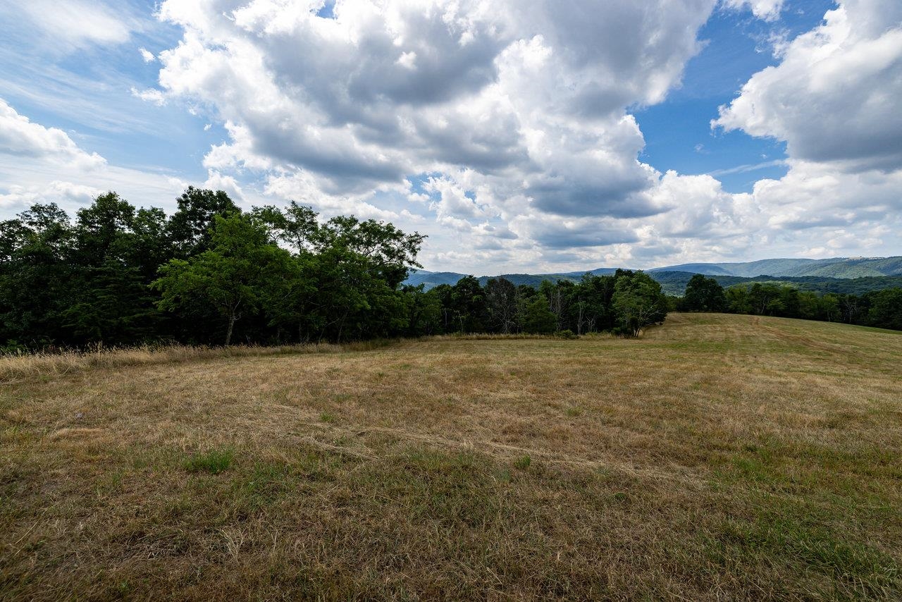 22590 CRIDERS RD, CRIDERS, Virginia 22820, ,Farm,22590 CRIDERS RD,654880 MLS # 654880