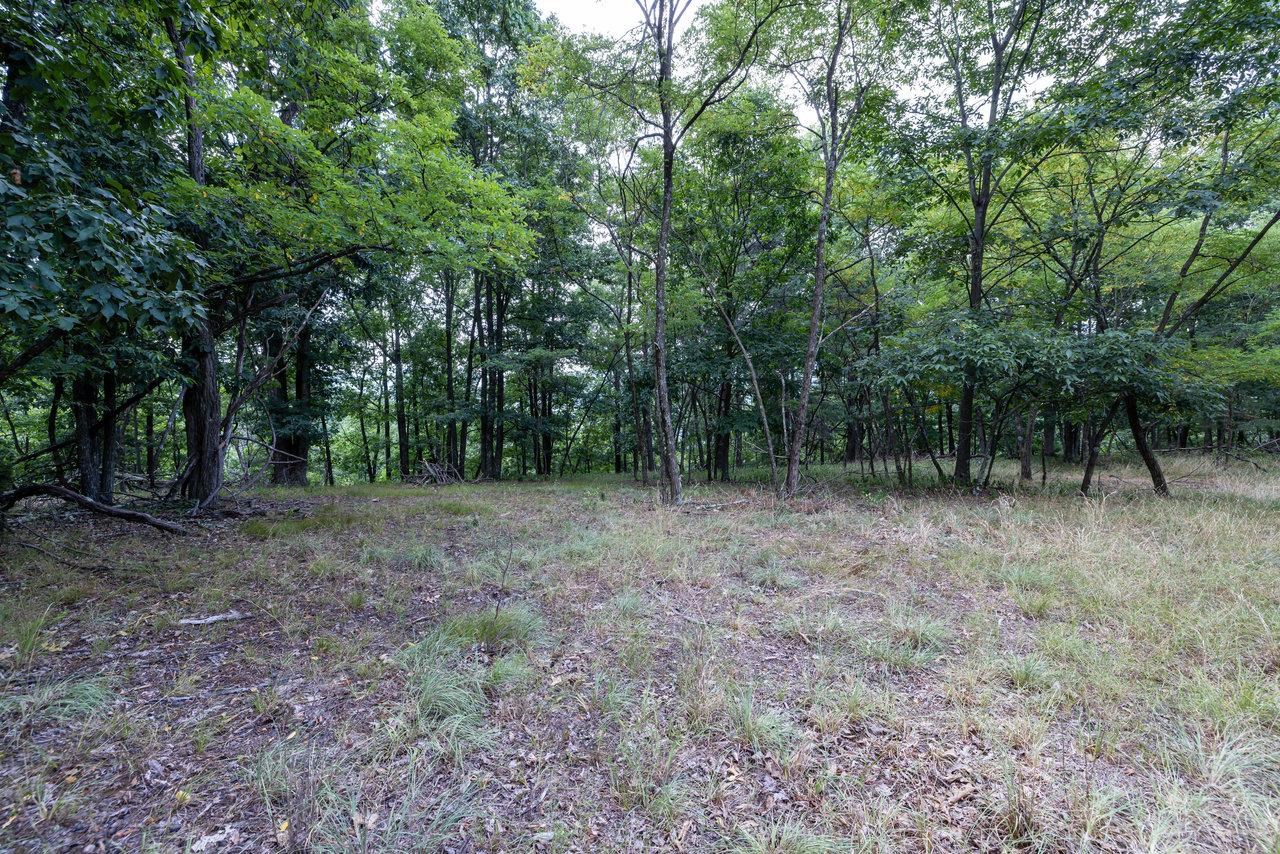 22590 CRIDERS RD, CRIDERS, Virginia 22820, ,Farm,22590 CRIDERS RD,654880 MLS # 654880