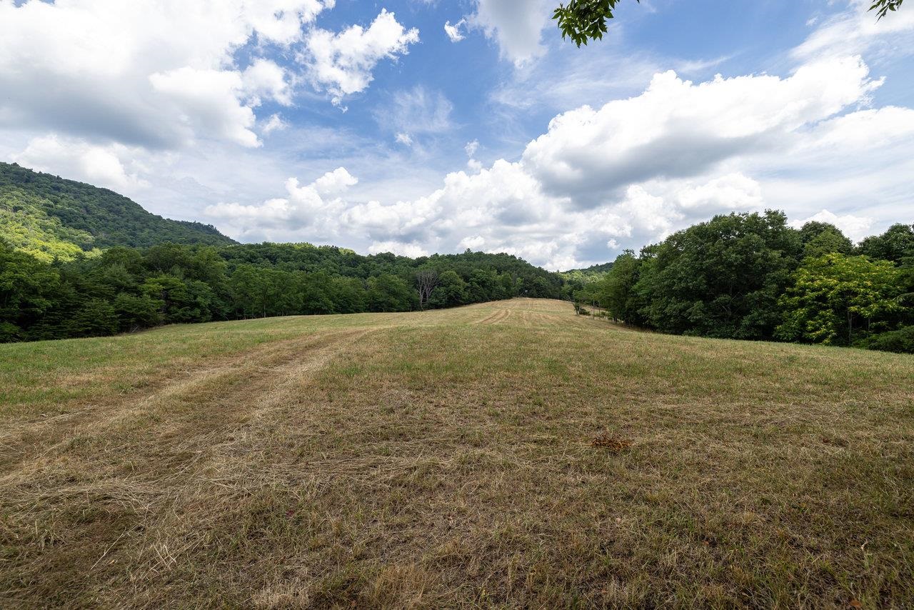 22590 CRIDERS RD, CRIDERS, Virginia 22820, ,Farm,22590 CRIDERS RD,654880 MLS # 654880