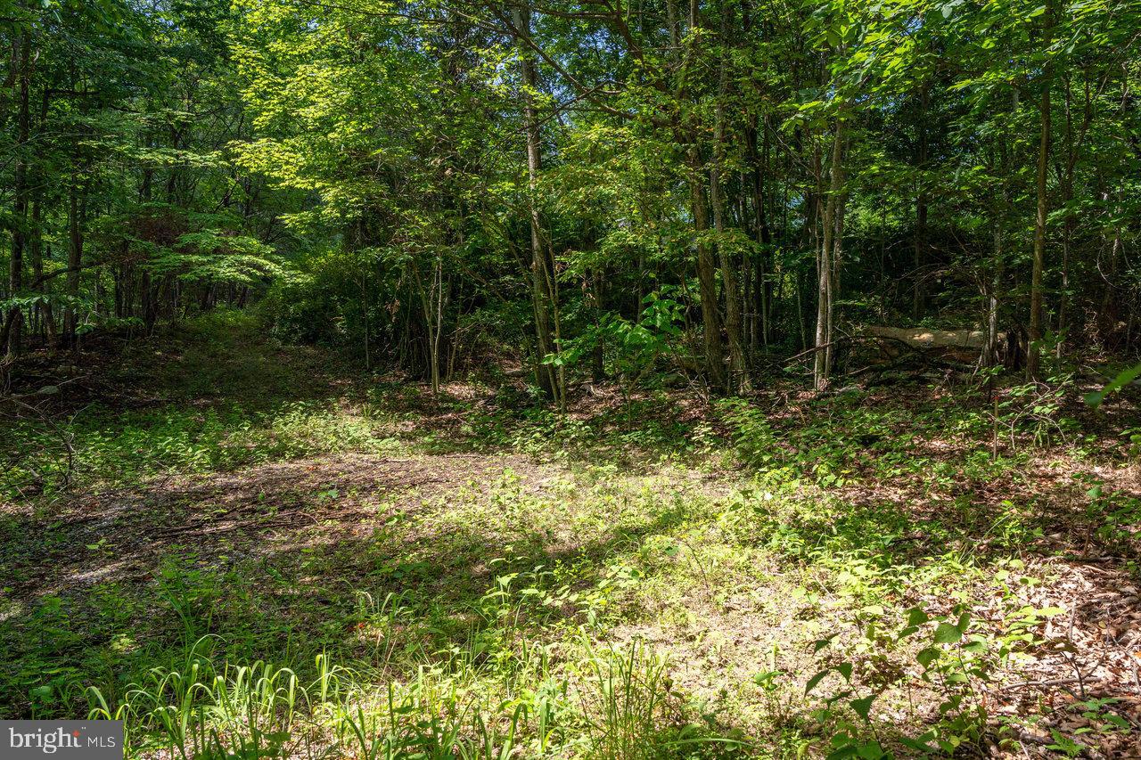 LOT K83 WHITE OAK ROAD, LURAY, Virginia 22835, ,Land,For sale,LOT K83 WHITE OAK ROAD,VAPA2003728 MLS # VAPA2003728