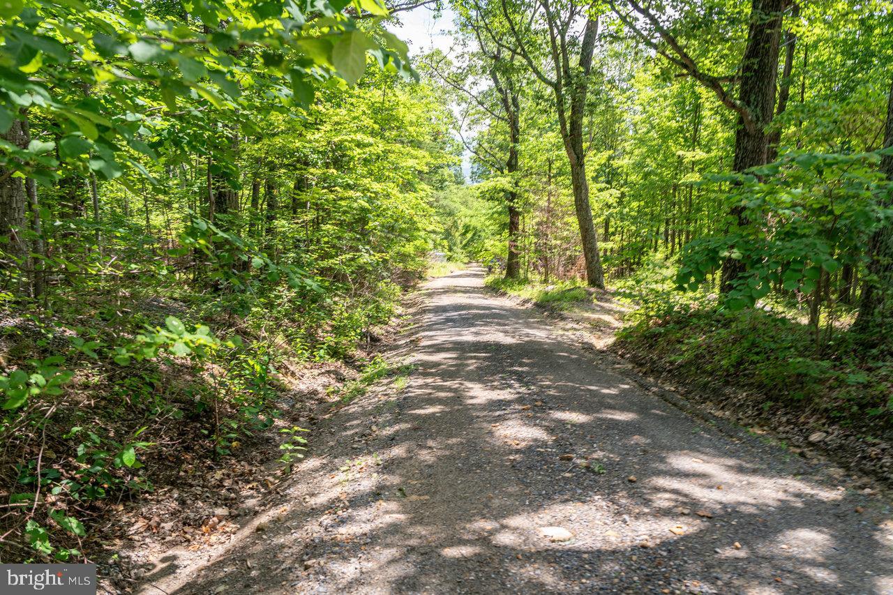 LOT K83 WHITE OAK ROAD, LURAY, Virginia 22835, ,Land,For sale,LOT K83 WHITE OAK ROAD,VAPA2003728 MLS # VAPA2003728