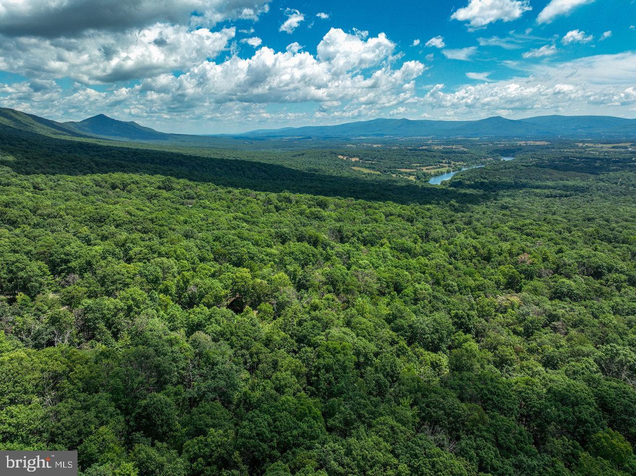 LOT K83 WHITE OAK ROAD, LURAY, Virginia 22835, ,Land,For sale,LOT K83 WHITE OAK ROAD,VAPA2003728 MLS # VAPA2003728