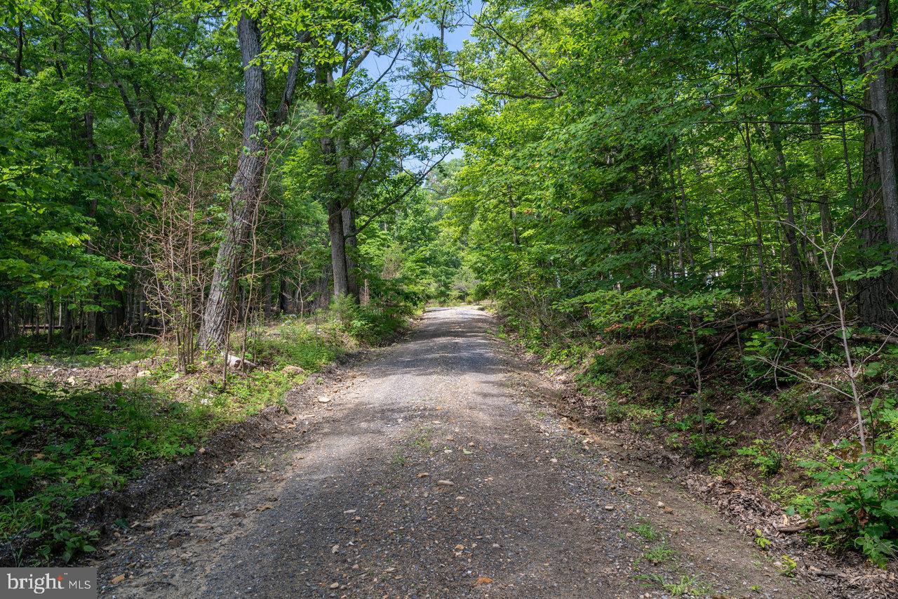 LOT K83 WHITE OAK ROAD, LURAY, Virginia 22835, ,Land,For sale,LOT K83 WHITE OAK ROAD,VAPA2003728 MLS # VAPA2003728