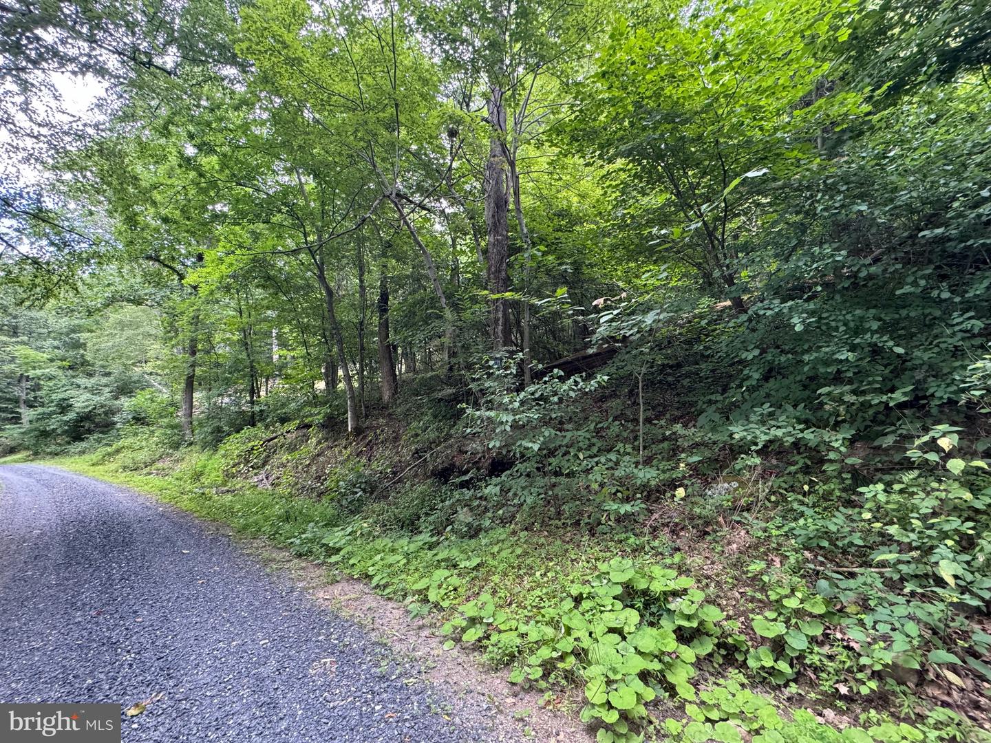 TBD LOT 45 CLIFF HEIGHTS, STANLEY, Virginia 22851, ,Land,For sale,TBD LOT 45 CLIFF HEIGHTS,VAPA2003800 MLS # VAPA2003800