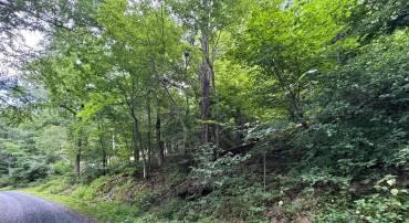 TBD LOT 45 CLIFF HEIGHTS, STANLEY, Virginia 22851, ,Land,For sale,TBD LOT 45 CLIFF HEIGHTS,VAPA2003800 MLS # VAPA2003800