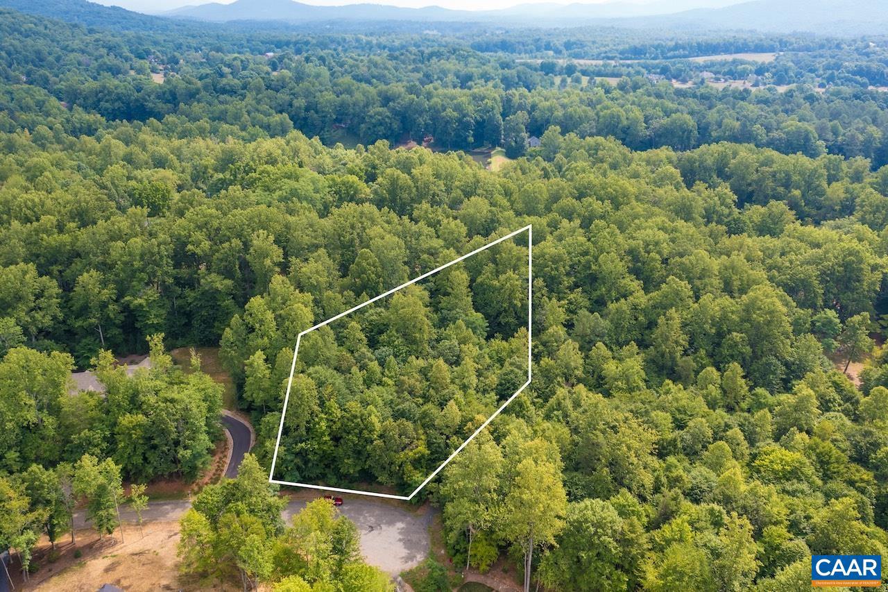 355 HIDDEN SPRINGS LN, NELLYSFORD, Virginia 22958, ,Land,For sale,355 HIDDEN SPRINGS LN,654940 MLS # 654940