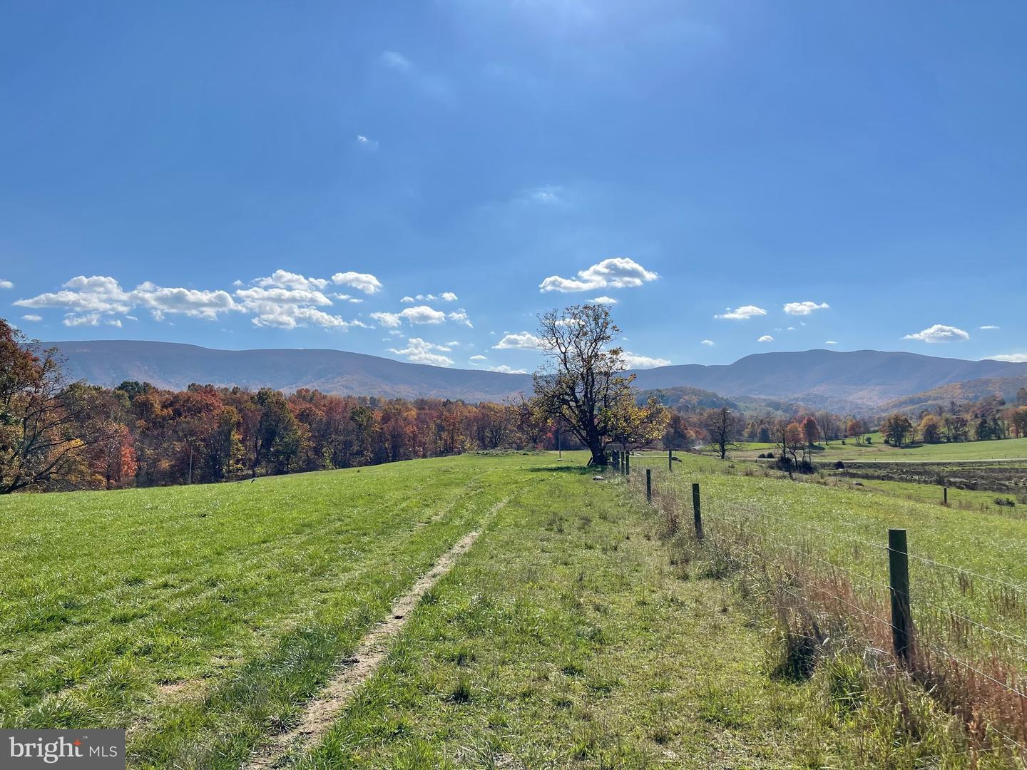 LOT 9 BUCK MOUNTAIN RD, BENTONVILLE, Virginia 22610, ,Land,For sale,LOT 9 BUCK MOUNTAIN RD,VAWR2008544 MLS # VAWR2008544