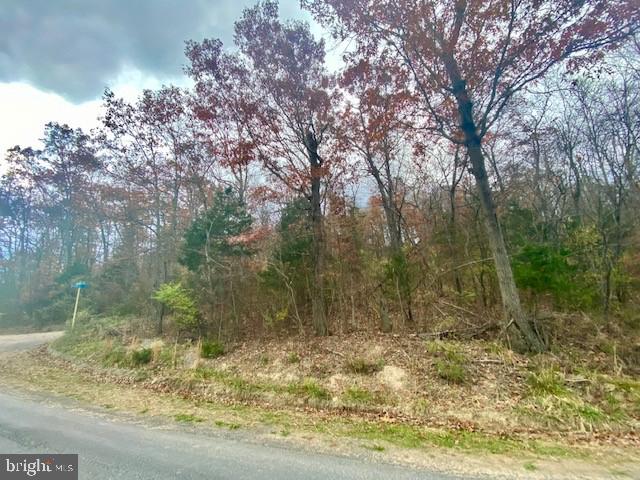 PAGE VALLEY ROAD, LURAY, Virginia 22835, ,Land,For sale,PAGE VALLEY ROAD,VAPA2000458 MLS # VAPA2000458